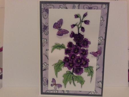 Delphinium Digital Stamps and Watercoloured Stamps by Laine HADLOW