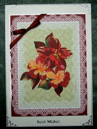 Ruby Glow by Laraine Spink