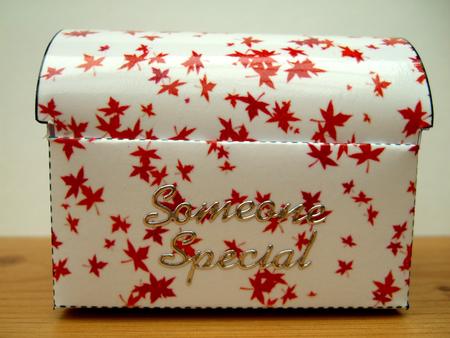 Gift Box Casket - Red Leaves by Laraine Spink