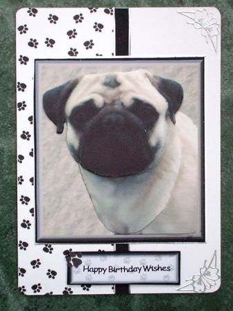 Pug Dog Portrait 3D Decoupage by Laraine Spink