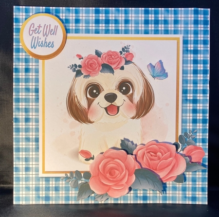 Cute Doggie - Get Well/Birthday/Thinking of You Featured Gallery Photo