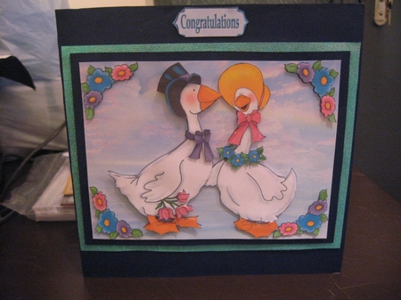 Coo Ducks You Look Lovely by Laura Macfadyen