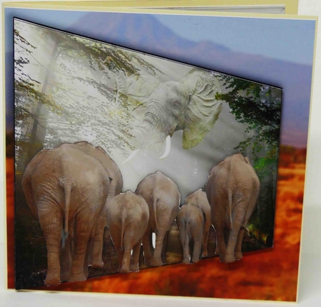 call of the elephants by Laura Nicholls