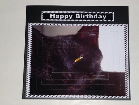 Black Cat Pyramid by Laura Nicholls