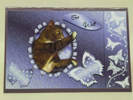 Cat and Butterfly Ripped Birthday by Laura Nicholls