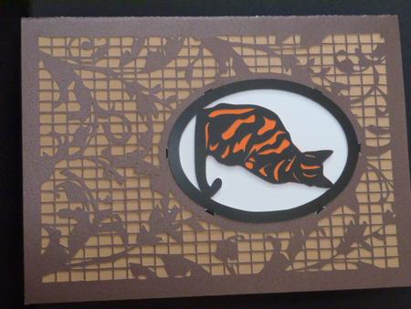 Tabby Cat Inset Card  by Laura Nicholls
