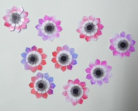 Anemone by Laura Nicholls