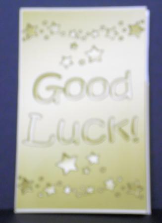 Good Luck Lottery Wallet Card by Laura Nicholls