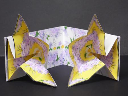 Exploding Card - Wisteria and Daisies by Laura Nicholls