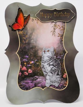 'playing Catch' Kitten Card Kit by Laura Nicholls