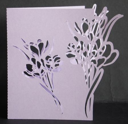 Crocus Double Edged Card by Laura Nicholls