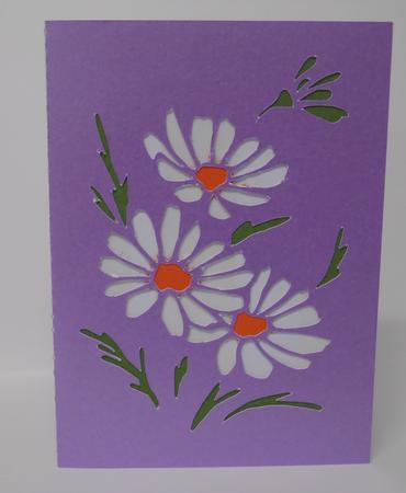 383 Daises Card by Laura Nicholls