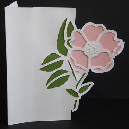 Floral 11 Over the Edge Card by Laura Nicholls