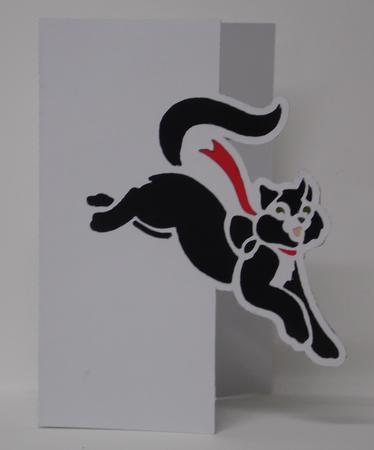 Cat Over The Edge Card by Laura Nicholls
