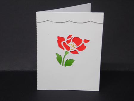 Floral Card 8 by Laura Nicholls