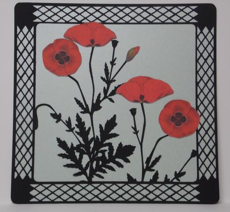 Large 3D Poppy Frame And Decoupage by Laura Nicholls