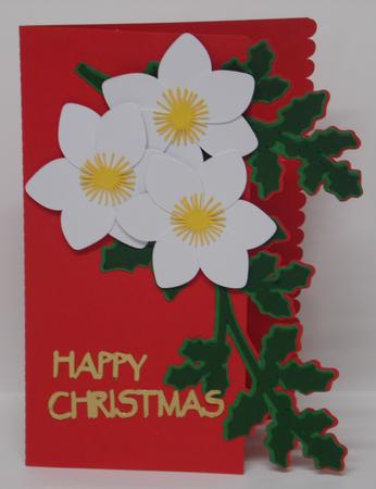 Over the Edge Card with Christmas Rose and Holly. by Laura Nicholls