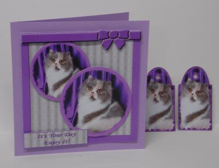 Mix'n'match - Fluffy Cat on Purple by Laura Nicholls