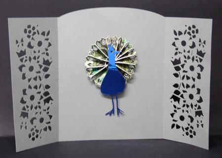 Peacock Over the Edge Card 1 by Laura Nicholls