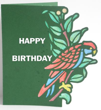 Parrot Over the Edge Card by Laura Nicholls