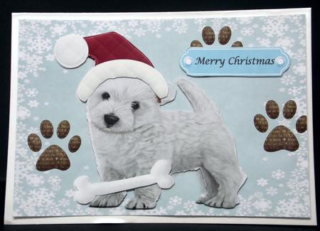 Cute Westie with Santa Hat by Laura Nicholls