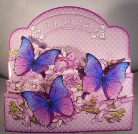 3D Butterflies and Flowers Pop Out Card Kit by Leanna Hudson