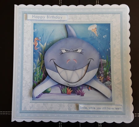 Shark Smile While You Still Have Teeth Mini Kit Men & Boys by Leanna Hudson