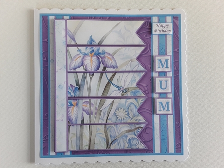 IRIS & DRAGONFLY 7.5 Alphabet and Age Quick Card Kit Create Any Name by Leanna Hudson
