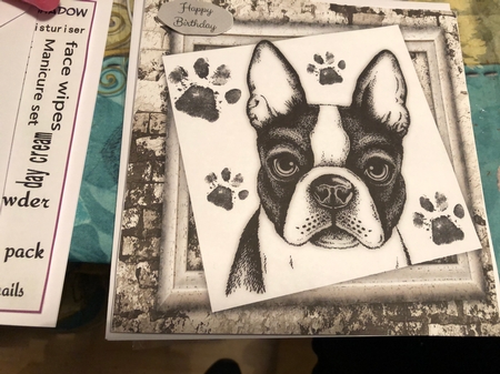 Black And White French Bull Dog 8x8 by leeann sivewright