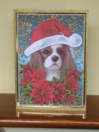 Santa King Charles Spaniel Puppy Dog - Poinsettia Flowers 2 Featured Gallery Photo