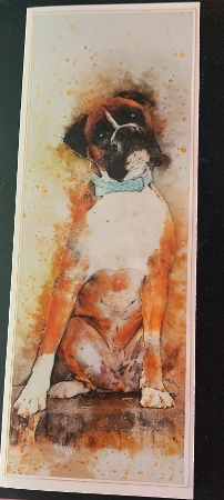 One Sheet Wonders - Water Colour Magic - Boxer - Easy Cut - 3D Decoupage by Lesley Earing