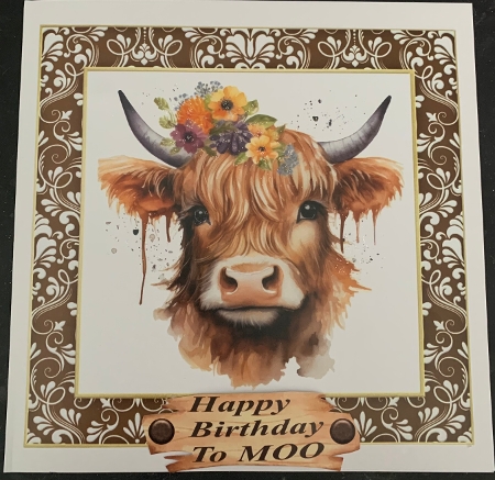 Brown framed Highland cow card front 1 by Lesley Earing