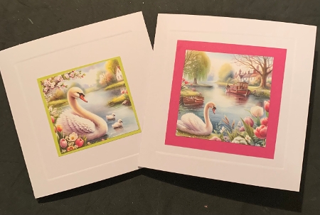 Swan by the river CARD FRONTS by Lesley Earing