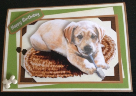 Lovely Labradore Pupp by Lesley Earing