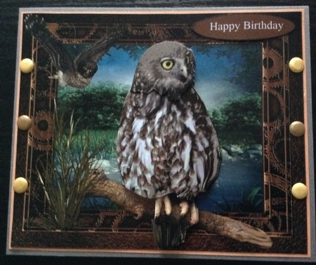 Scenic Owls Card Topper with Decoupage by Lesley Earing