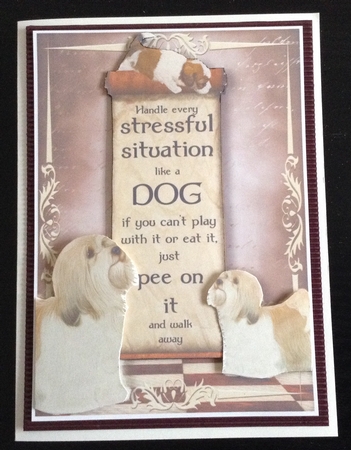 Handle Every Stressful Situation Like a Dog - havanese & Pup by Lesley Earing