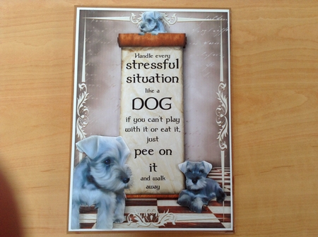 Handle Every Stressful Situation Like a Dog - schnauzer by Lesley Earing