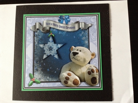 Beary Special Christmas by Lesley Earing