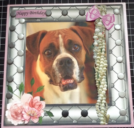 BOXER LOVE BIRTHDAY MOTHERS DAY by Lesley Earing