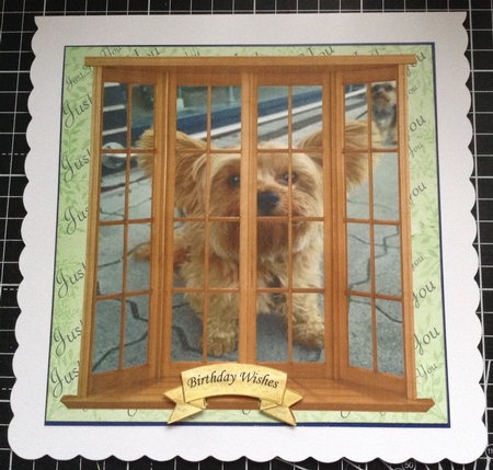 YORKIES ROOM WITH A ZOO by Lesley Earing