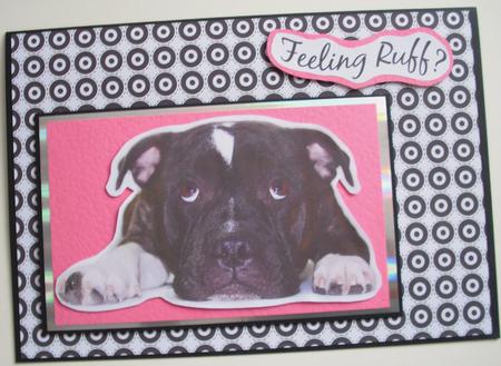 Get Well Soon Staffordshire Bull Terrier Dog Toppers by Lesley Earing