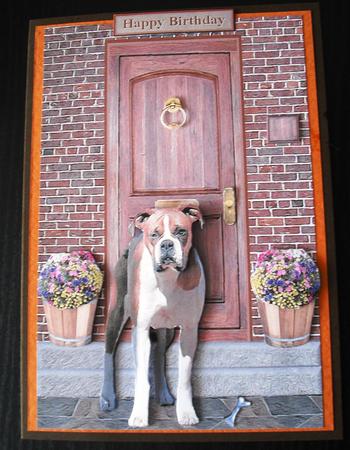 Boxer Dog on a Doorstep by Lesley Earing