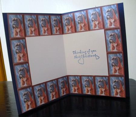 The Boxer Smiles Insert by Lesley Earing
