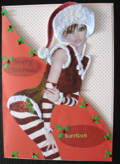 For the Boys Sexy Elf, A4 Shaped Front by Lesley Earing