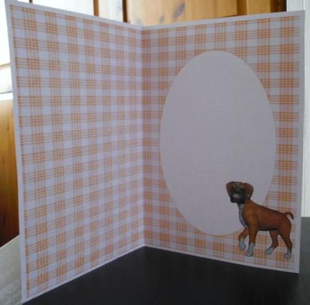 Playful Boxer Insert by Lesley Earing