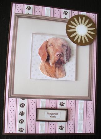Hungarian Vizsla Portrait by Lesley Earing