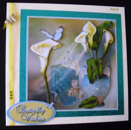Butterfly Wishes by Lesley Earing