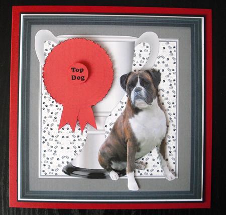Boxer Dog Trophy and Rosette 8x8 Card by Lesley Earing