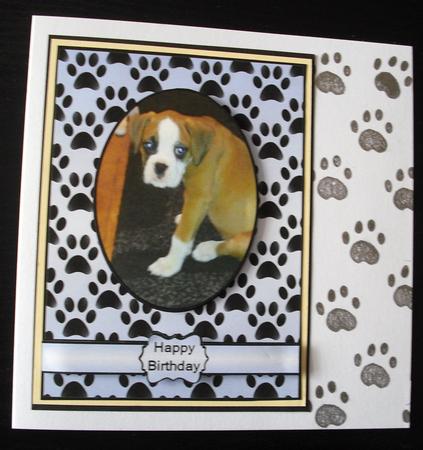 Henry is Home by Lesley Earing