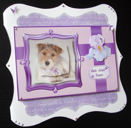 Puppy Get Well and More Qs by Lesley Earing